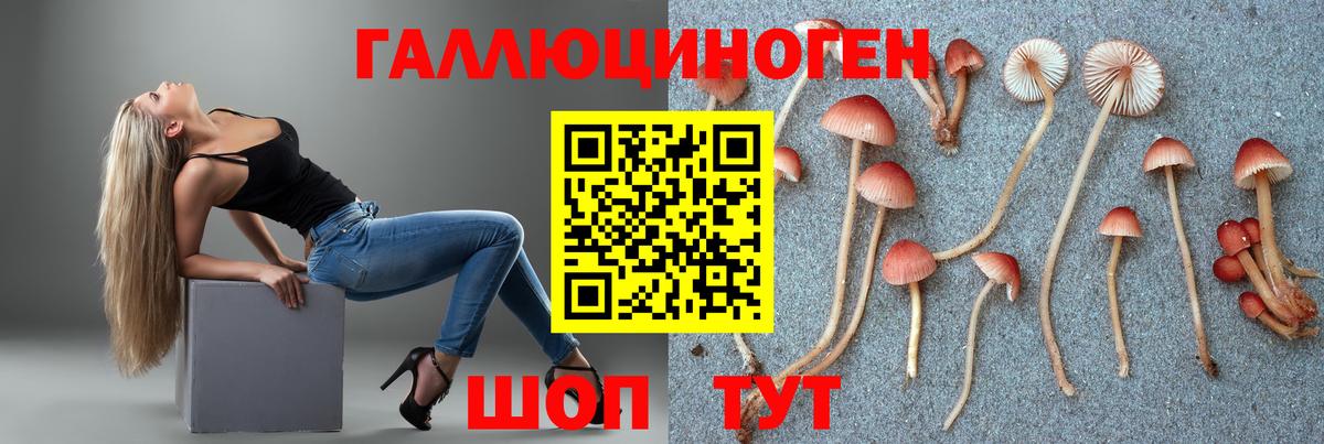 Галлюциногенные грибы мицелий Россошь