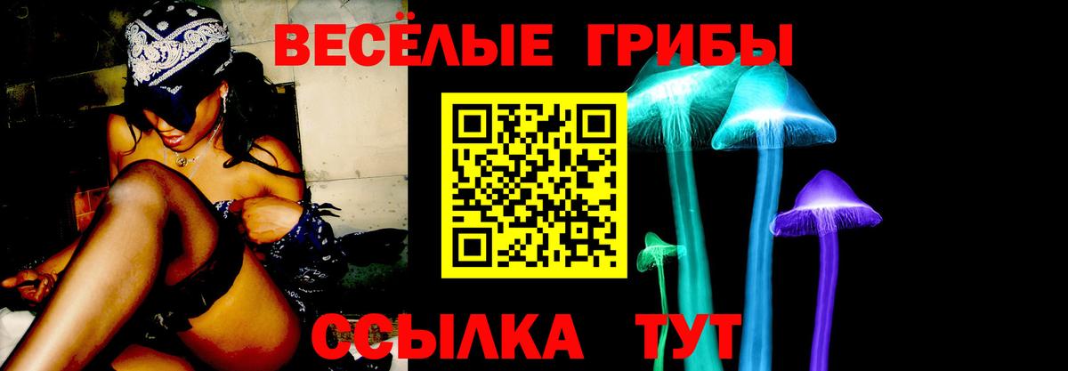 Россошь  Галлюциногенные грибы прущие грибы  Вход с VPN 